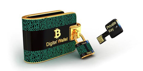 منظور از کلید خصوصی در کیف پول ارز دیجیتال چیست؟ | همتاپی