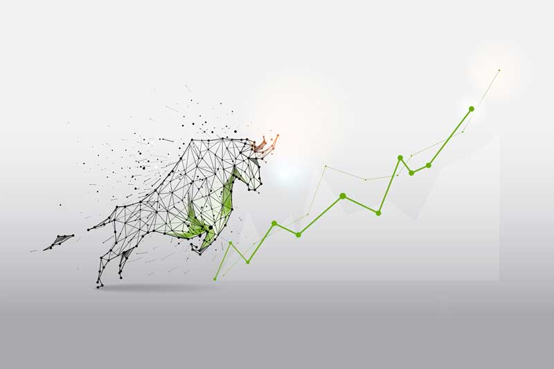 هر آنچه باید درباره بازار گاوی (Bull market) در ارزهای دیجیتال بدانید