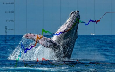 آیا واریزی نهنگ‌ها به صرافی‌ها می‌تواند عاملی برای پیش بینی قیمت بیت کوین باشد؟ | همتاپی