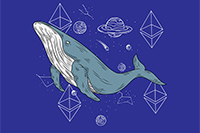 بررسی رفتار نهنگ‌های اتریوم در آستانه ارتقاء ادغام  | صرافی ارز دیجیتال همتاپی
