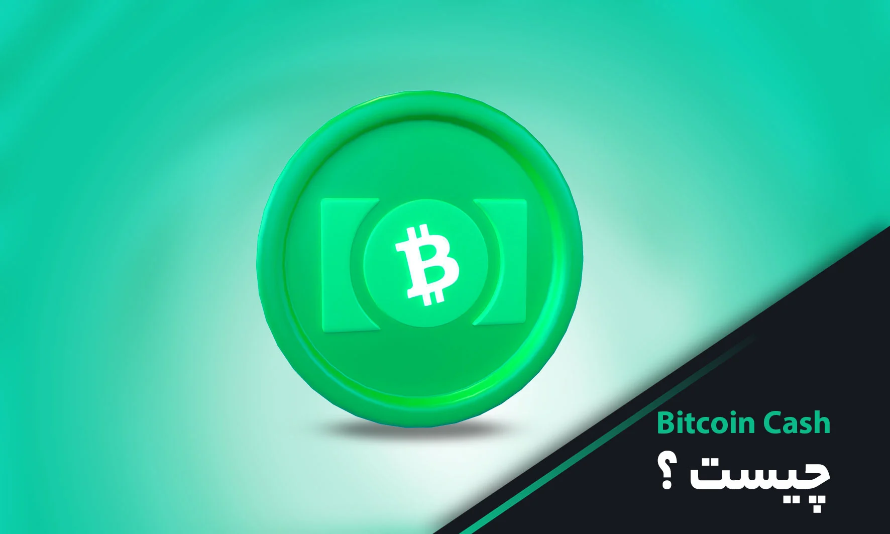 Bitcoin Cash video cover