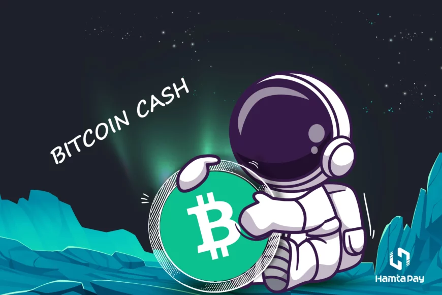 بیت کوین کش (Bitcoin Cash) چیست؟ از مفاهیم پایه تا خرید‌و‌فروش بیت‌کوین‌کش