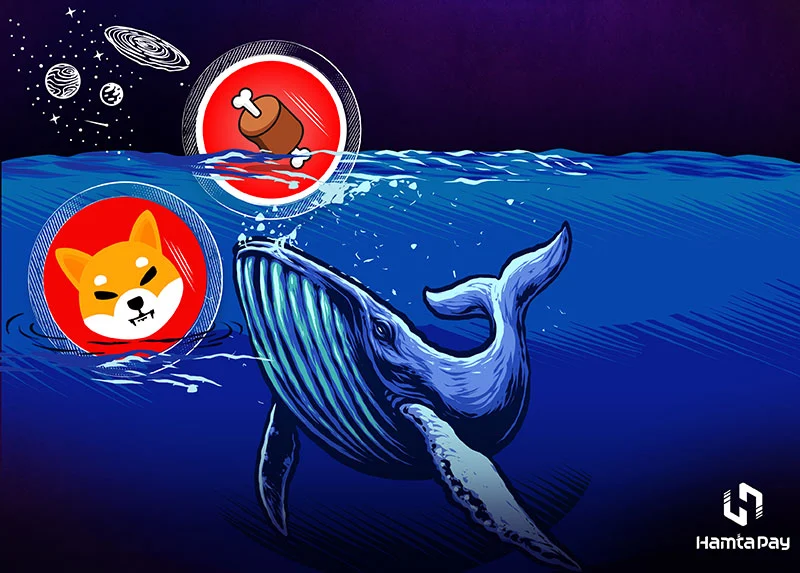 چرا توکن بون (BONE) شیبا اینو میان نهنگ‌های اتریوم محبوب شده است؟ | همتاپی