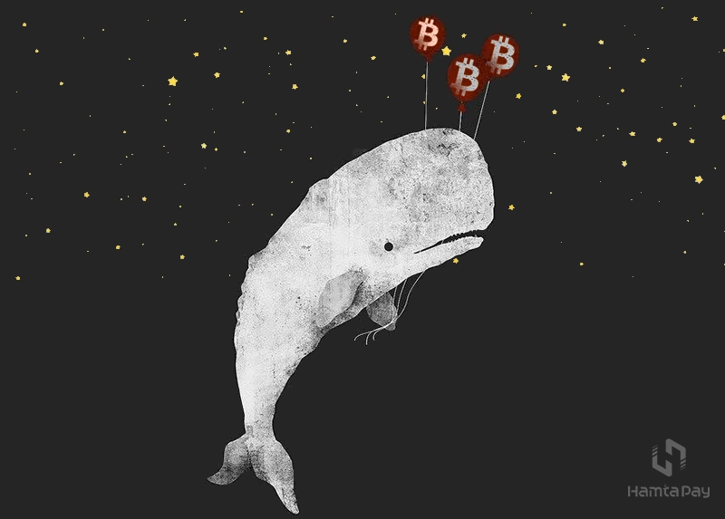 احتمال کاهش قیمت بیت کوین بعد از فروش 10 هزار بیتکوین توسط نهنگ‌ها | همتاپی