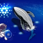 نهنگ‌های کاردانو در حال انباشت شدید این ارز دیجیتال هستند | همتاپی