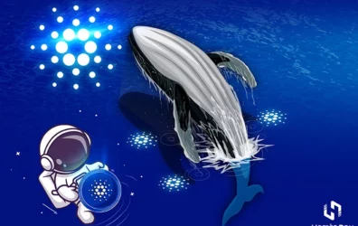 نهنگ‌های کاردانو در حال انباشت شدید این ارز دیجیتال هستند | همتاپی