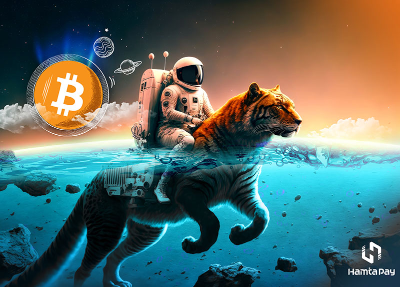 بیت کوین بازار را بلعید | همتاپی