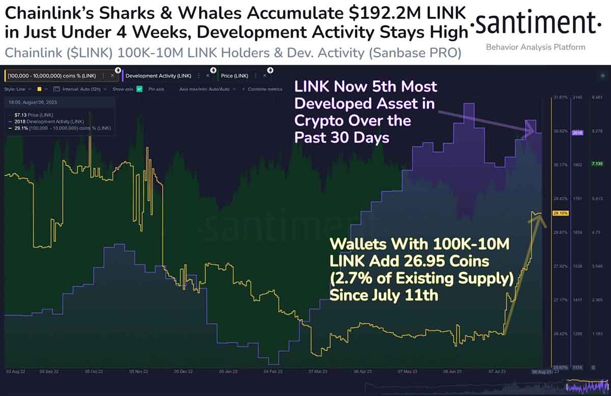فعالیت توسعه‌دهندگان چین لینک و میزان خرید این ارز دیجیتال توسط نهنگ‌ها | همتاپی