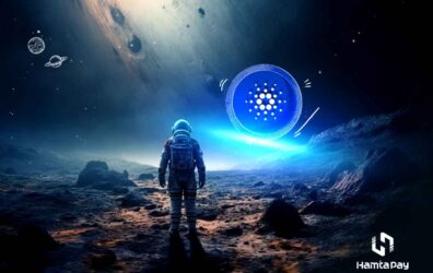 تحلیل قیمت کاردانو | همتاپی