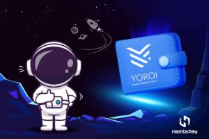 کیف پول یوروی چیست؟ + آموزش کسب درآمد غیرفعال از آن