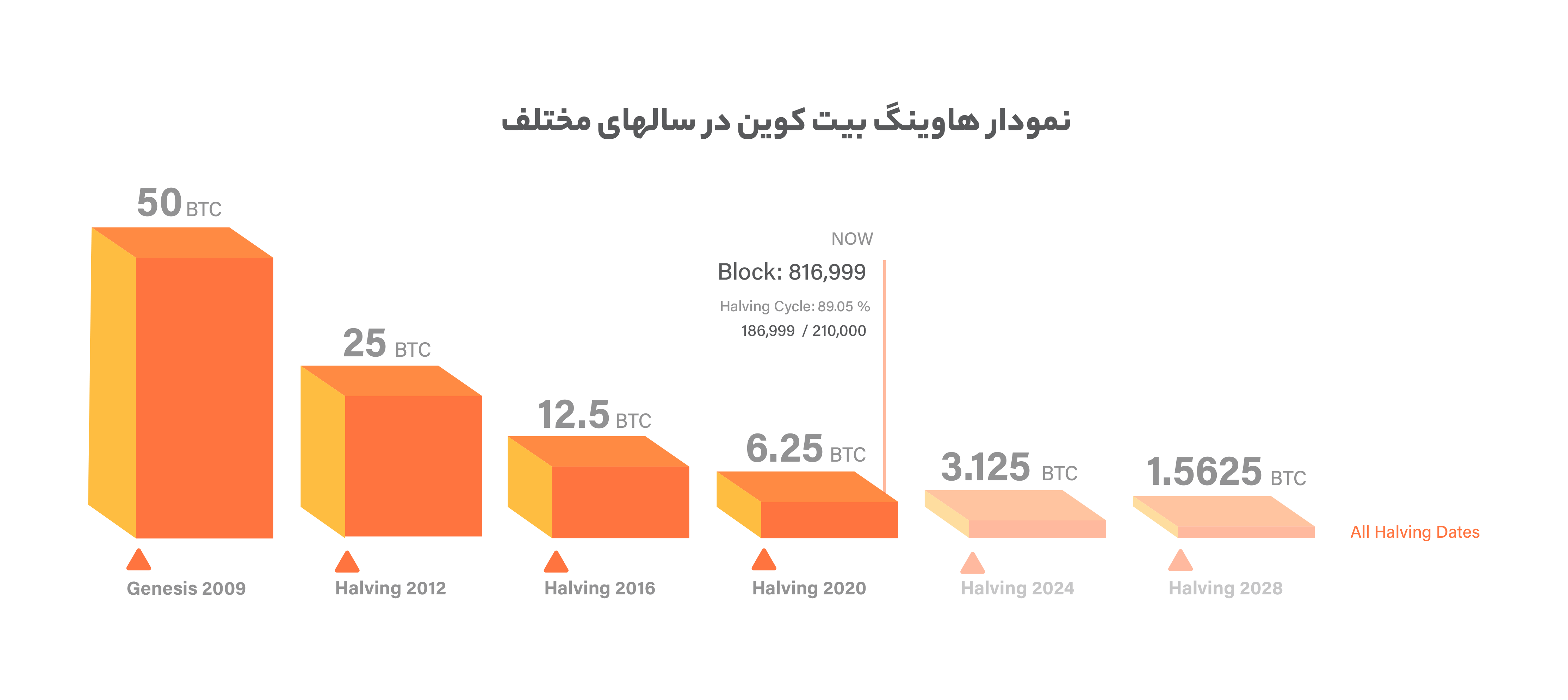 نمودار هاوینگ بیت کوین در سالهای مختلف