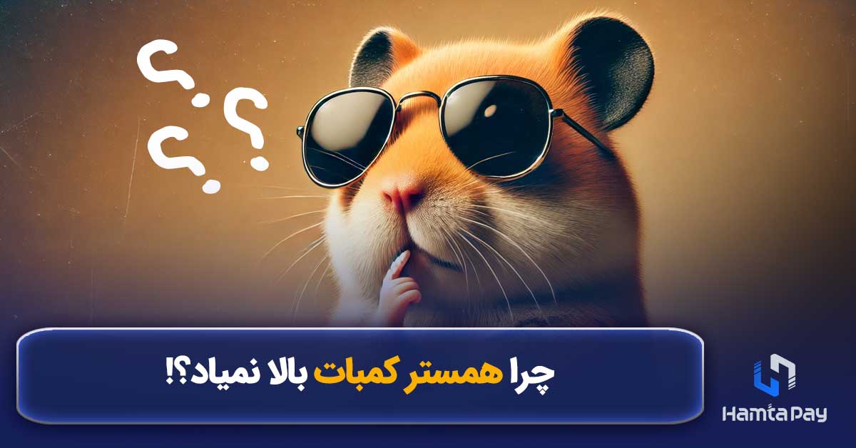 چرا همستر کامبت بالا نمیاد؟