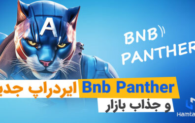 bnb panther