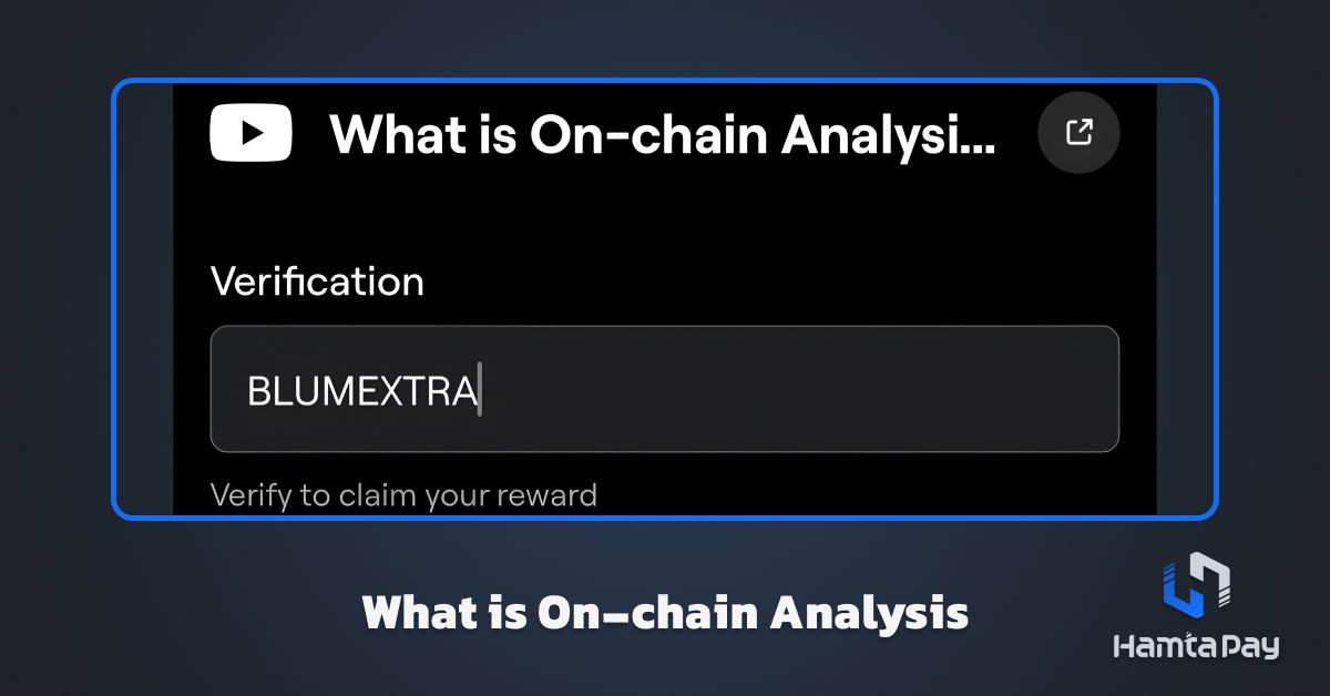 کد یوتیوب بلوم What is On-chain Analysis